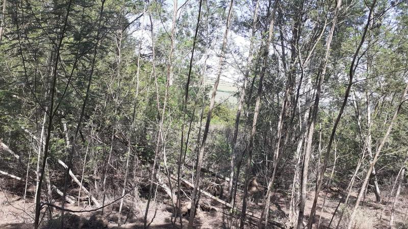 0 Bedroom Property for Sale in Albertinia Western Cape